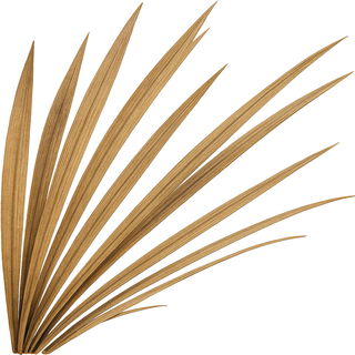 trockenes Gras