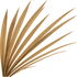 trockenes Gras