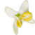 Olivenblüte