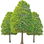 Forest accord