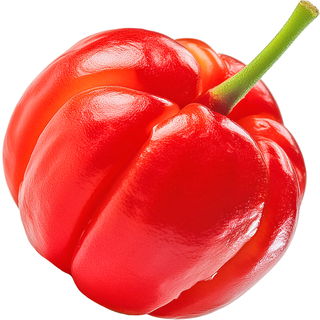 Acerolakirsche