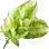 Hopfen