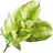 Hopfen