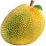 Jackfruit
