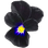 Black violet
