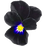 schwarzes Veilchen