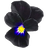 Black violet
