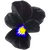 Black violet