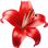 Red lily