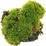 Moss