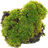 Moss