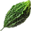 Bitter melon
