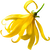 Ylang-ylang