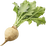 Sugar beet