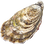 Oyster