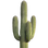 Saguaro