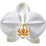 weiße Orchidee