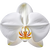 weiße Orchidee