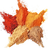 Spices