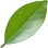 Lemon leaf