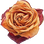 getrocknete Rose