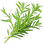 Tarragon