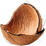 Coconut shell