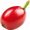 Coffee berry