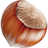 Haselnuss
