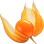 Physalis