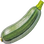 Zucchini
