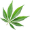 Cannabis