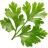 Coriander