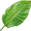 Banana leaf