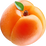 Aprikose