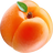 Aprikose