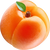 Aprikose