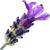 French lavender