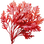 Red kelp