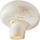 Champignon