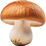 Mushrooms