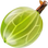 Gooseberry