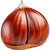 Chestnut