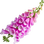 Digitalis