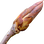 Poplar bud