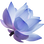 Blue lotus absolute