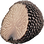Black truffle