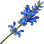 Blue sage