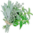 Herbs