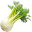 Fennel